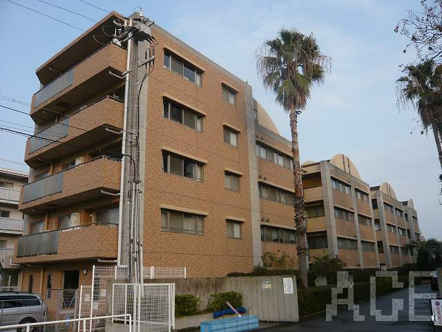 27547画像
