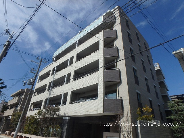 27568画像