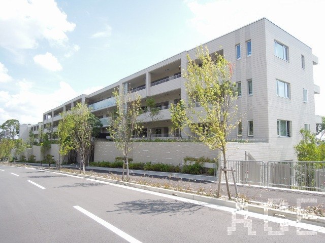 27587画像