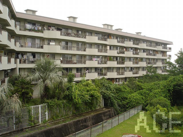 27594画像