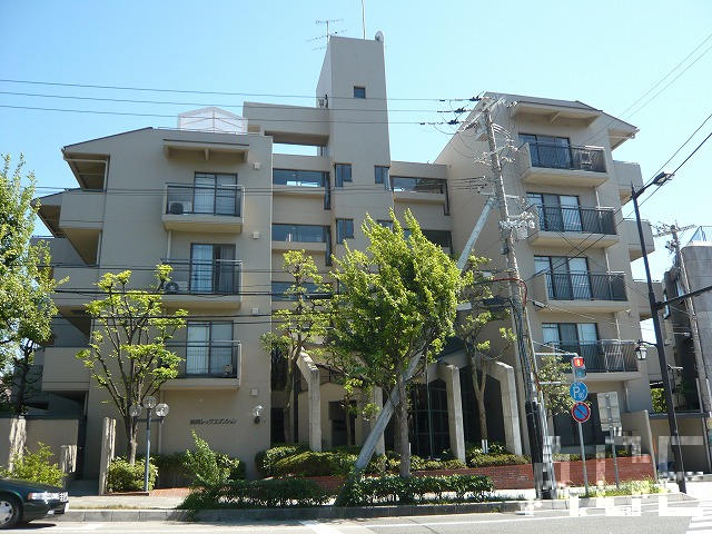 27595画像