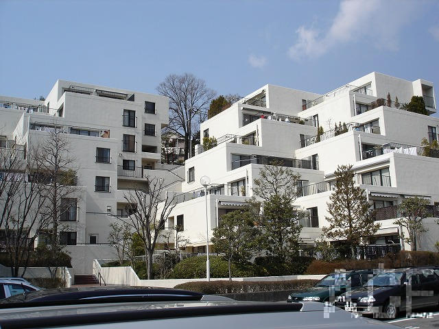 27596画像