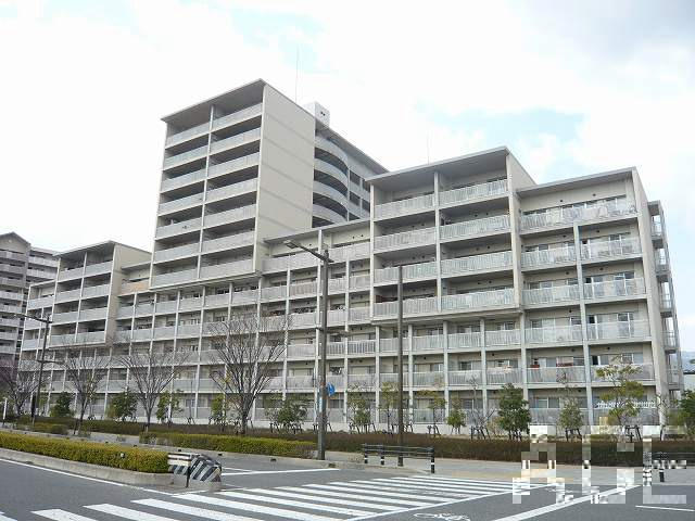 27633画像