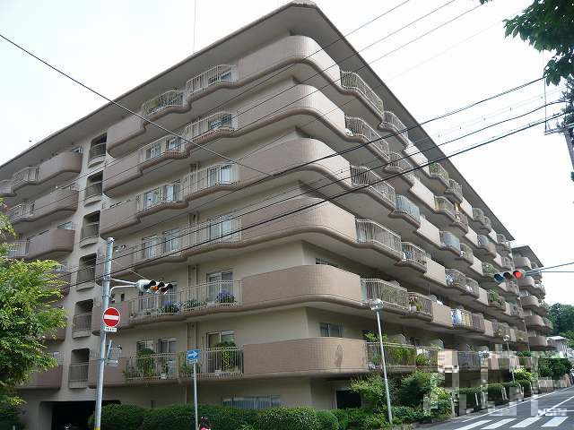 27651画像