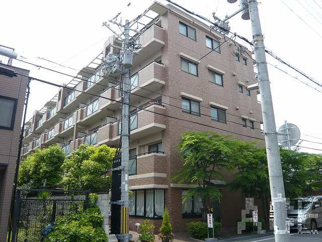 27657画像