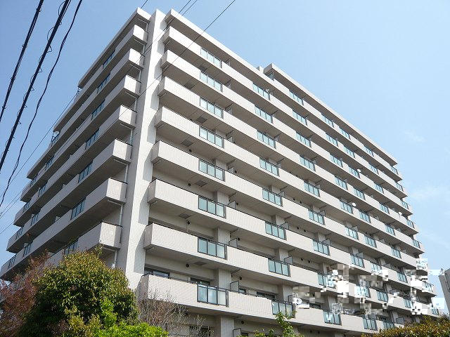 27786画像