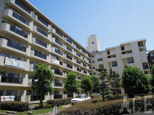 27803画像
