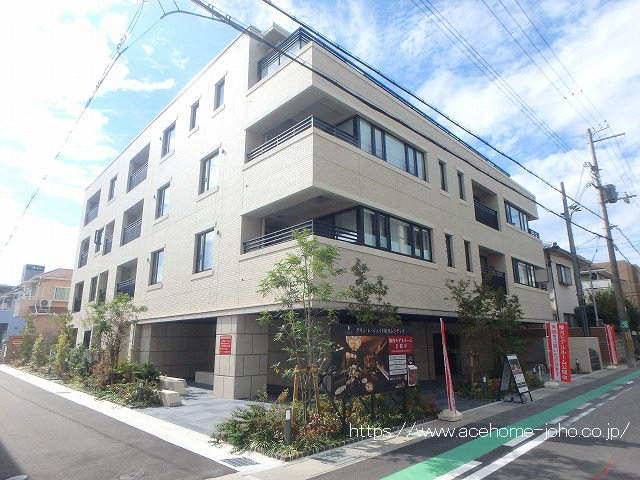 27808画像
