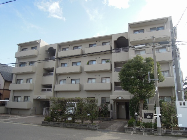 27814画像