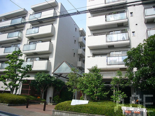 27816画像