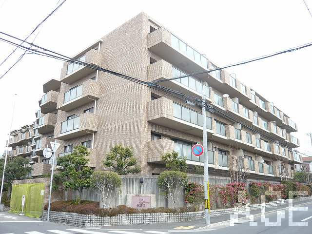 27819画像
