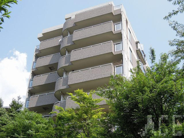 27830画像