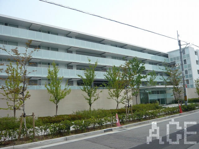 27842画像