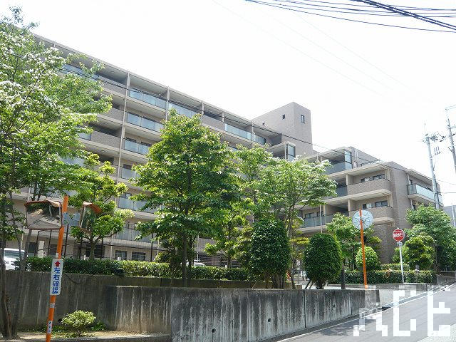 27845画像