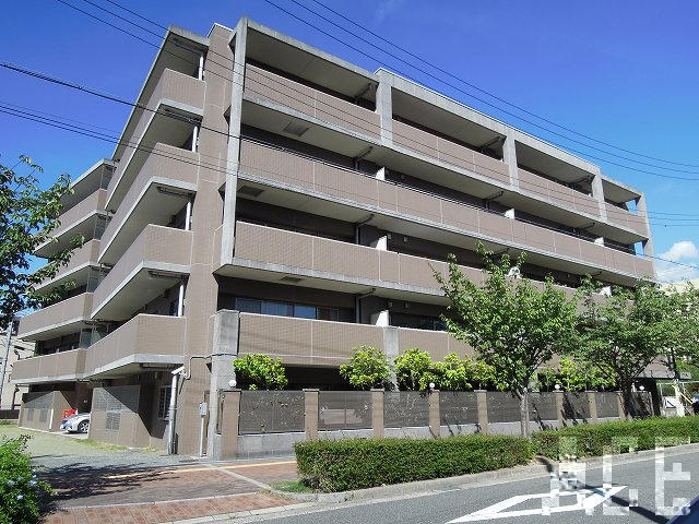 27913画像