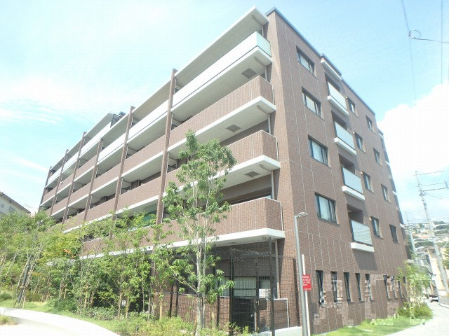 27949画像