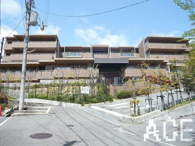 27950画像