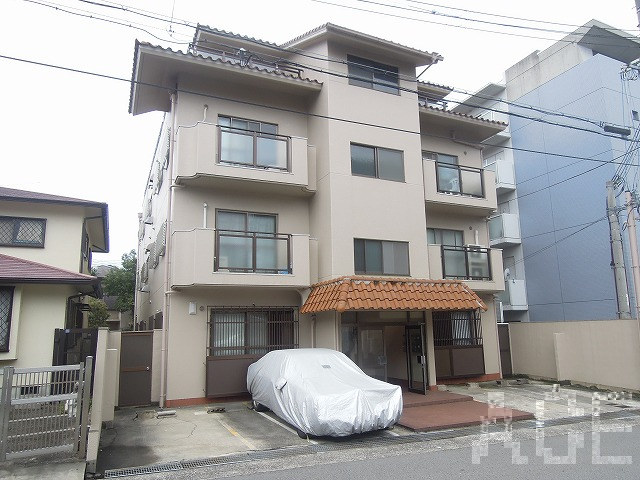 27954画像