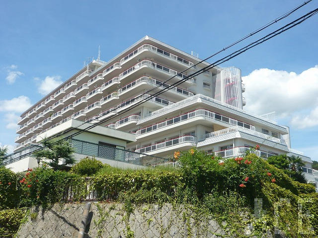 27967画像