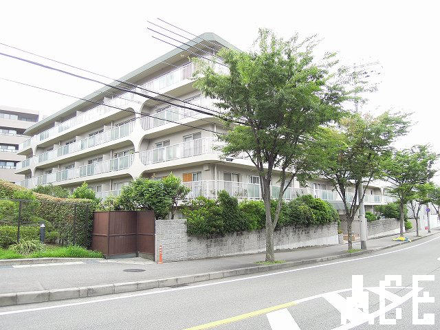 27971画像