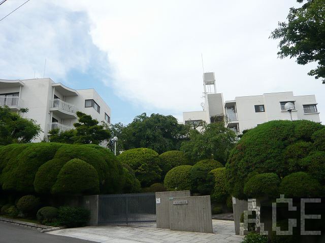 27979画像