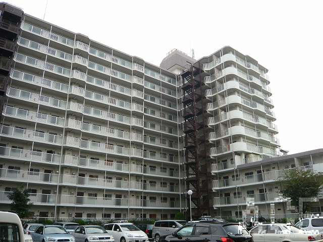 27985画像