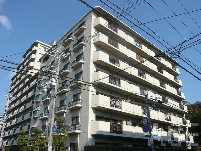 27989画像
