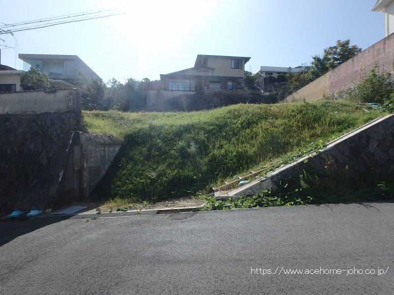 25354画像