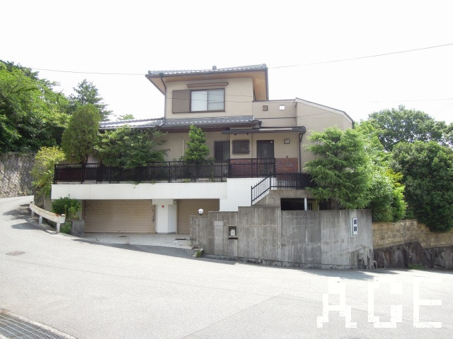 25571画像