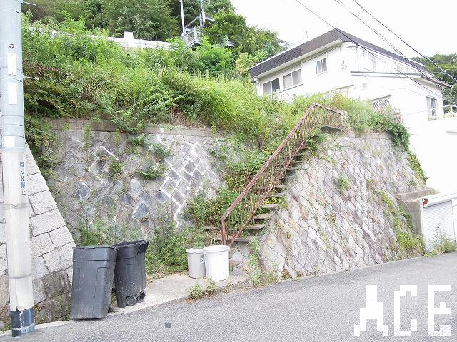 26878画像