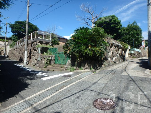27718画像