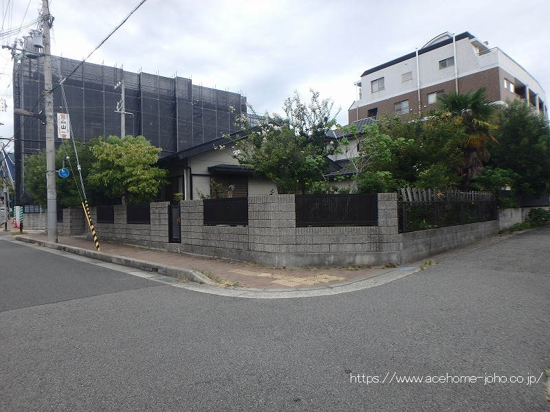 27936画像
