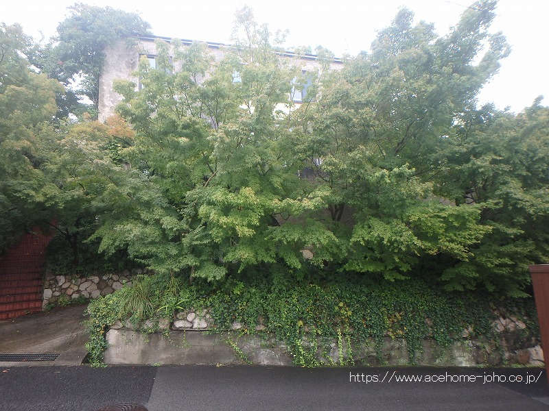 27957画像
