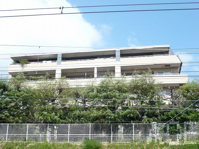 建具交換/南側より