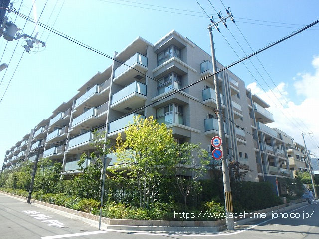 建物外観／南東側より