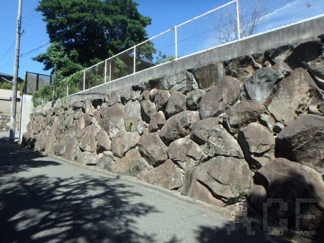 南東側より