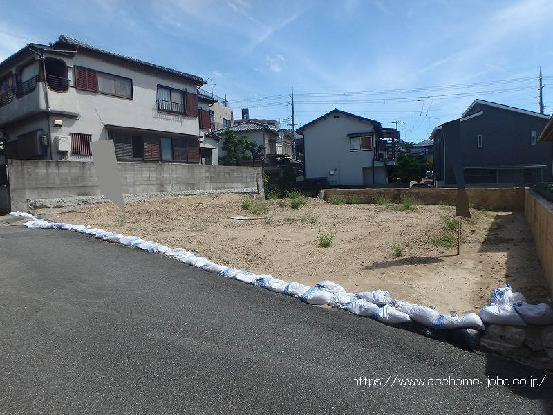 南西側より