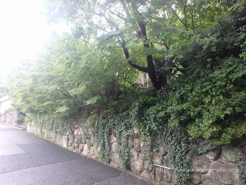 南側より