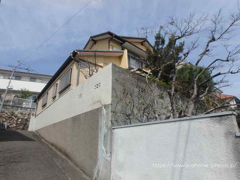 南西側より