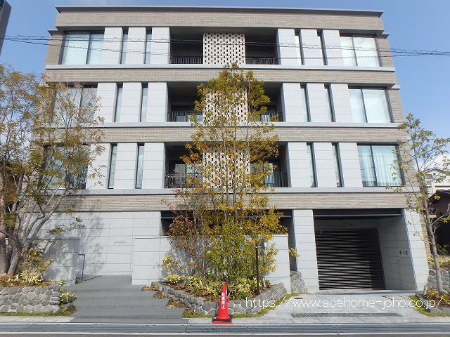 建物外観／南側より