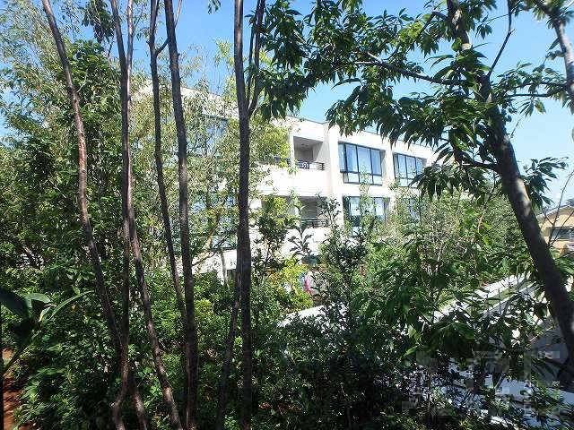 北棟(南西側より)