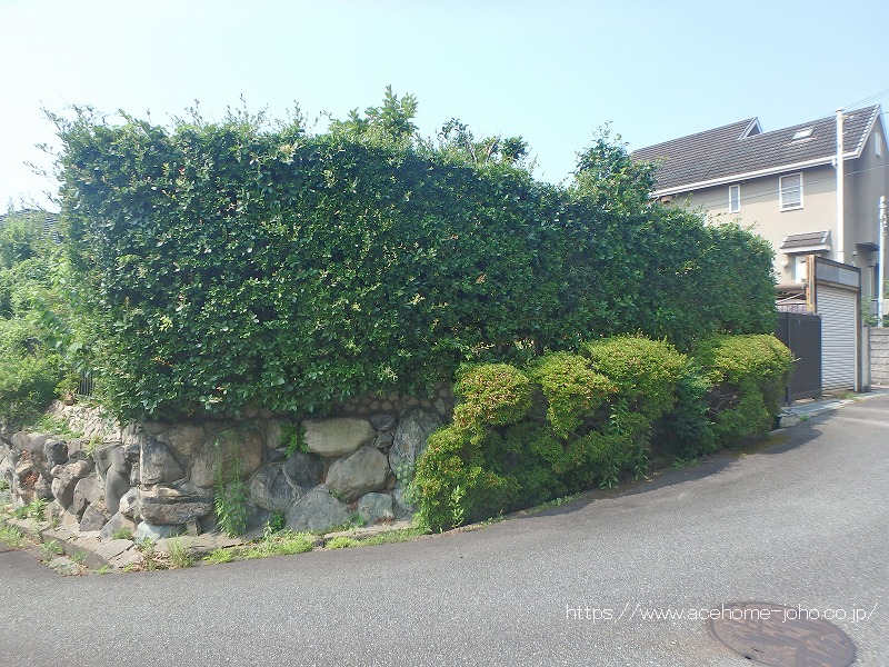北東側より