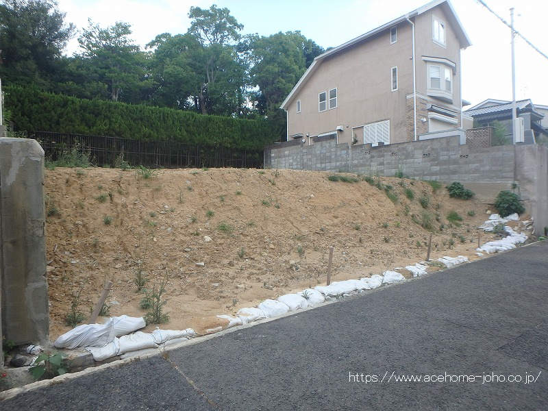 南西側より
