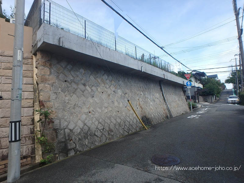 南西側より