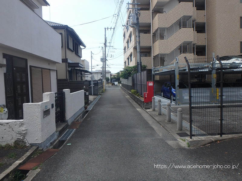 西側公道から南へ望む