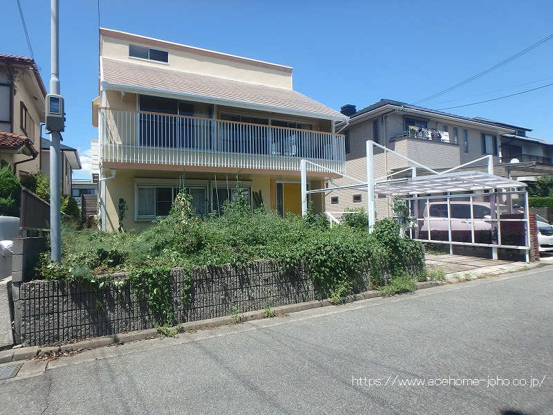 南西側より