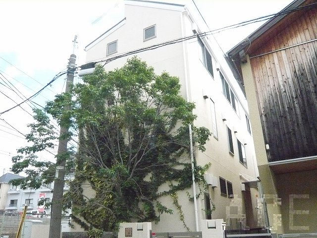 南西側より