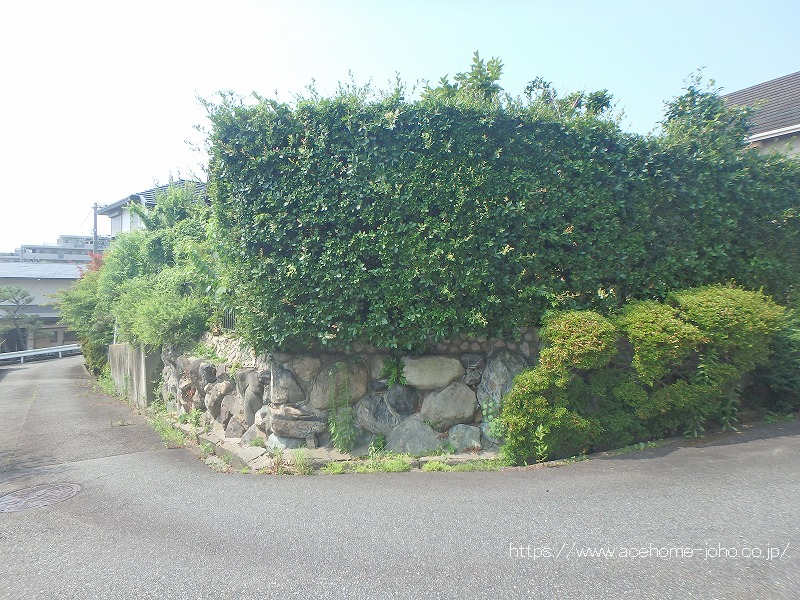 北東側より