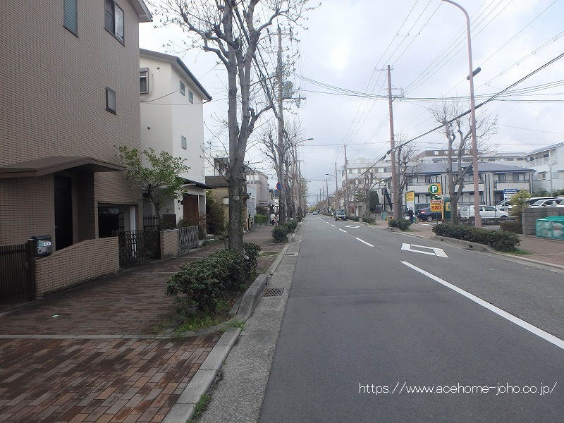 北側公道から西へ望む