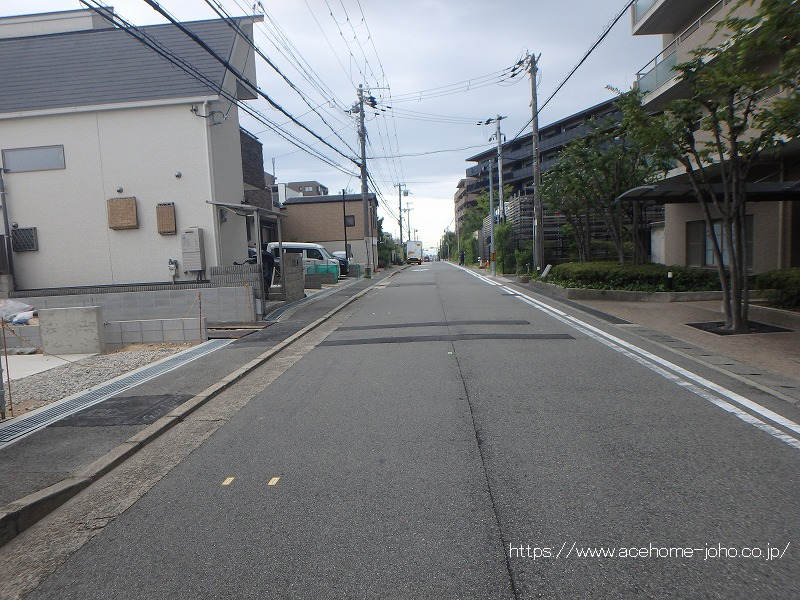 西側公道から南へ望む